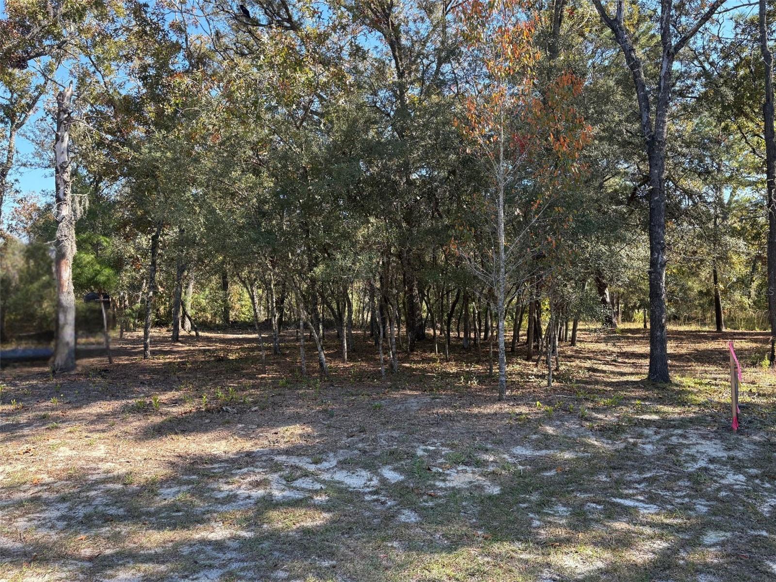 Image 3 of 4 For 10079 Ruth Terrace