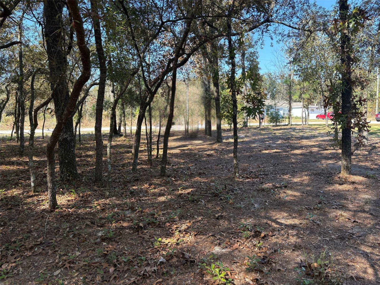 Image 4 of 4 For 10079 Ruth Terrace