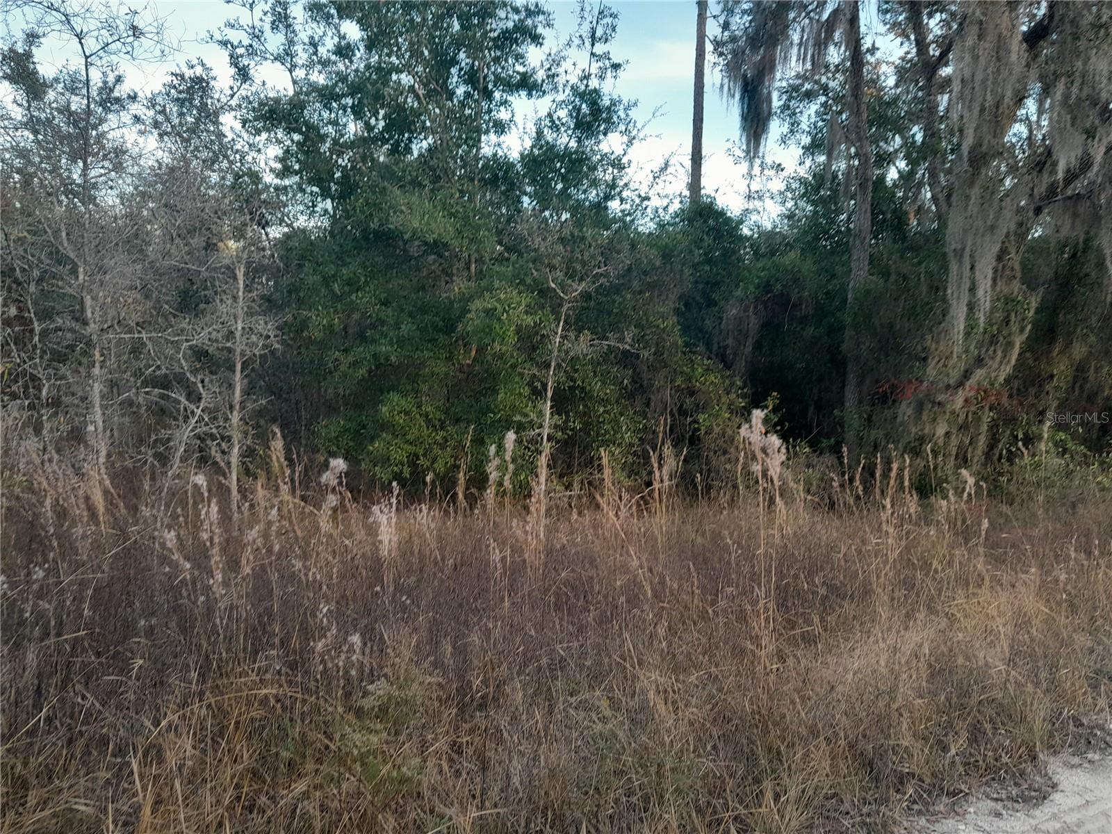 Image 2 of 4 For 1531 123rd Avenue