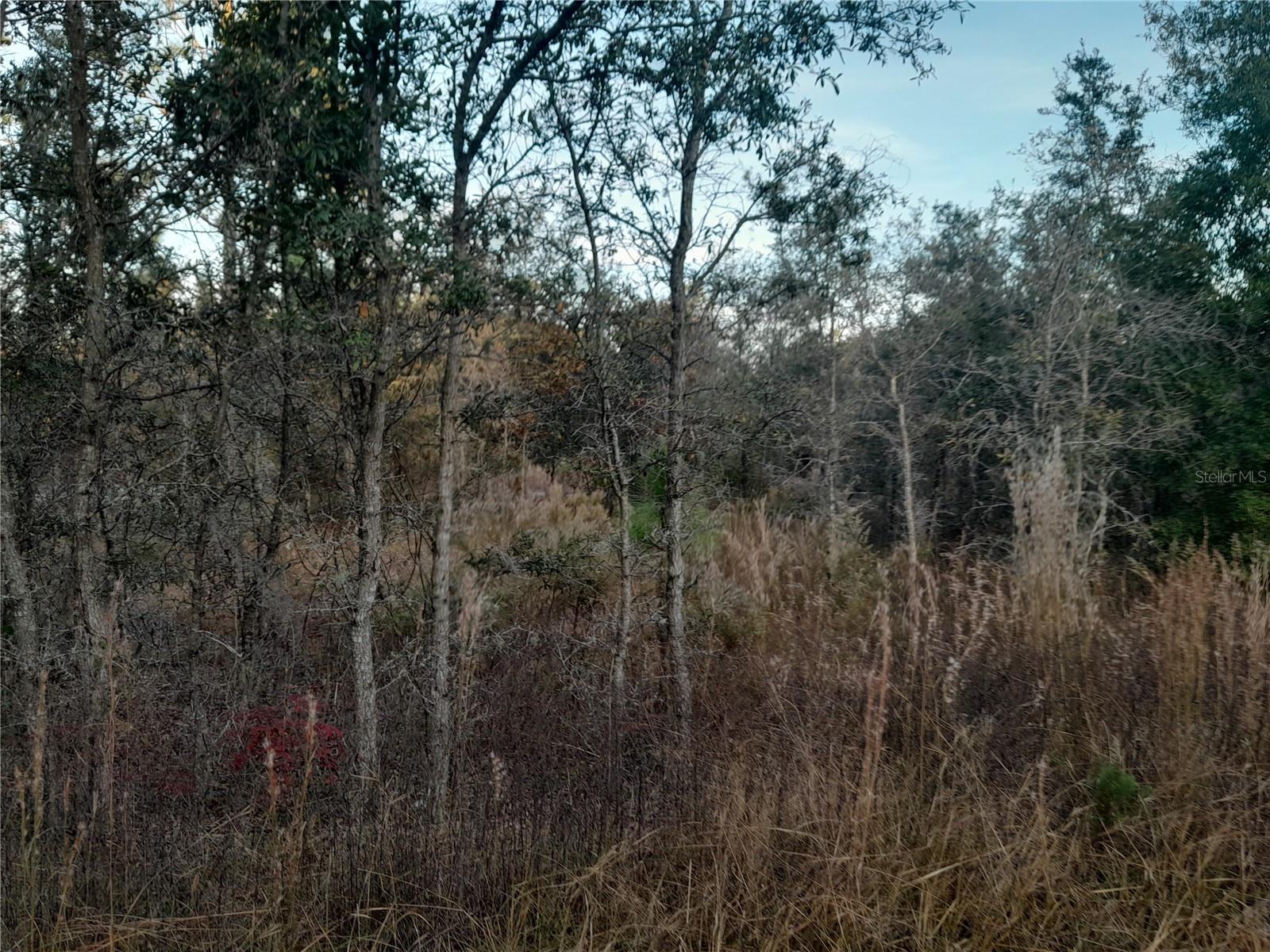 Image 3 of 4 For 1531 123rd Avenue