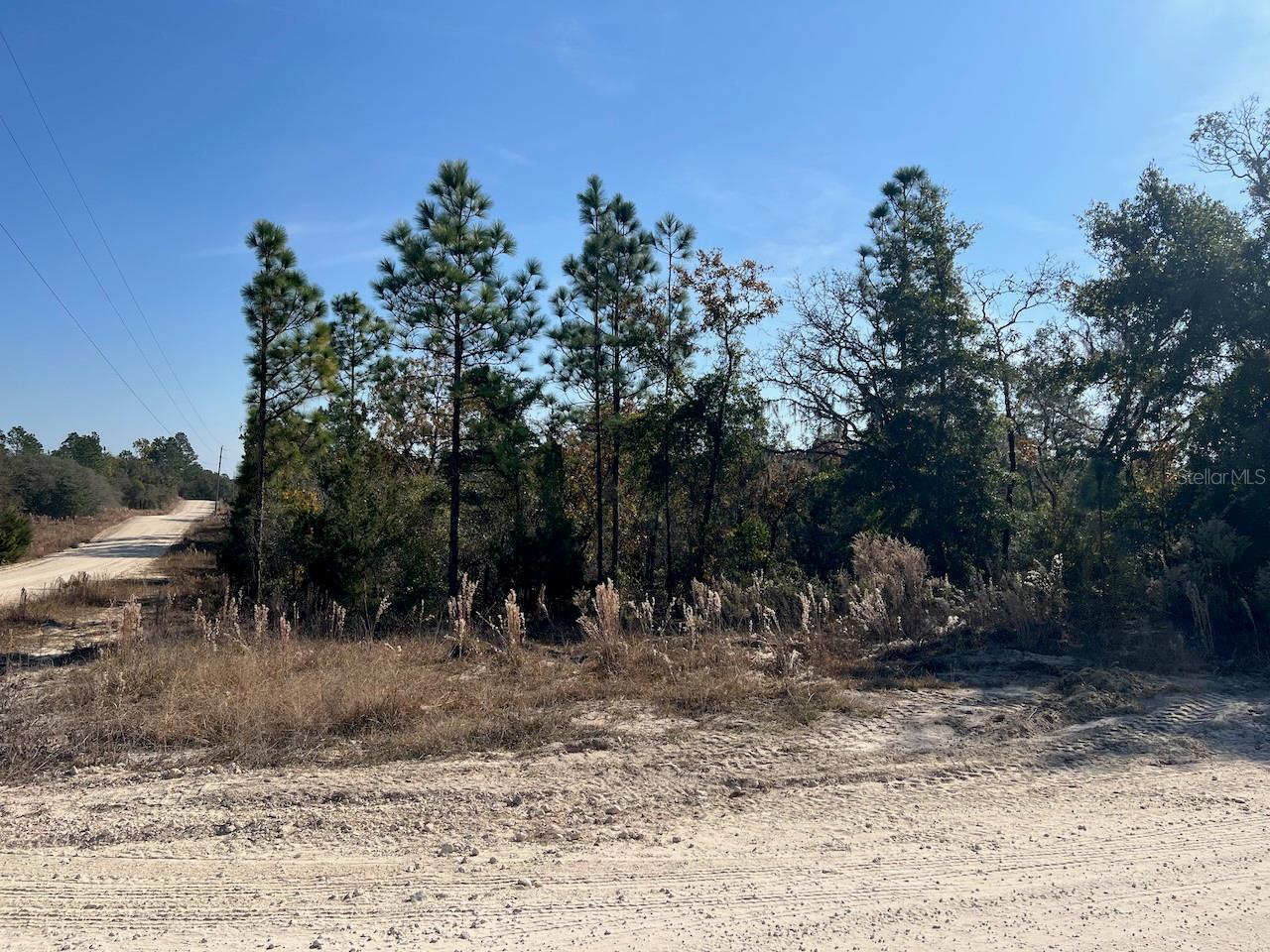 Image 14 of 16 For Tbd 127 Court