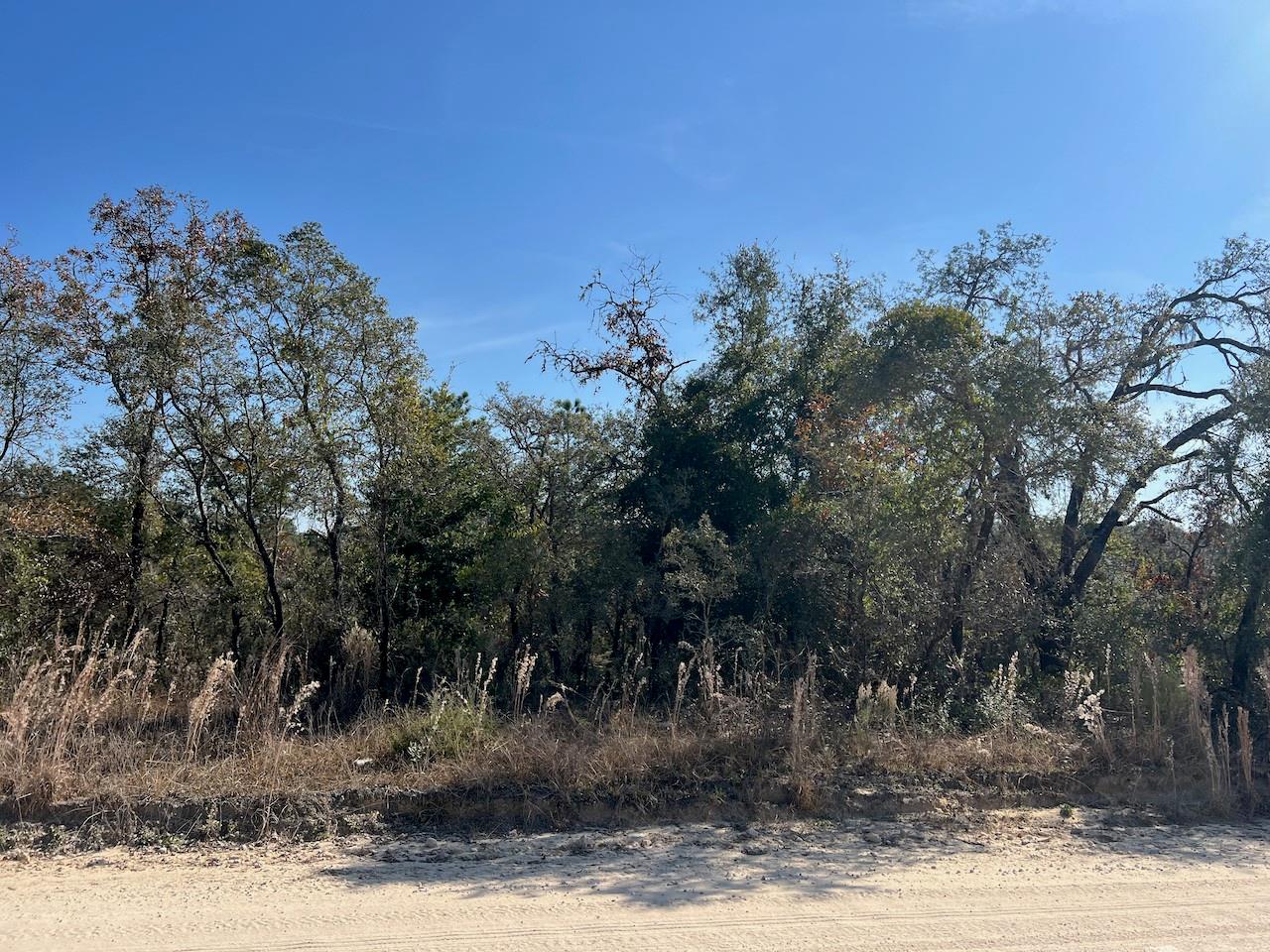 Image 15 of 16 For Tbd 127 Court