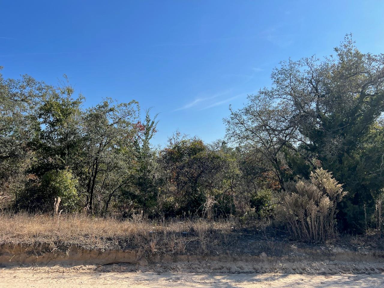 Image 16 of 16 For Tbd 127 Court