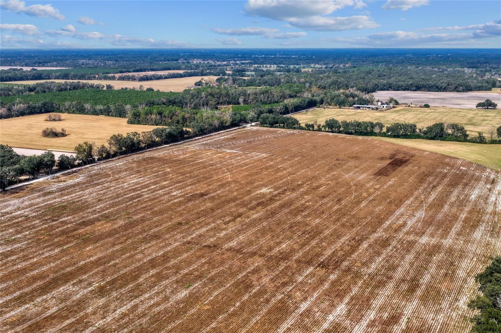 Image 19 of 29 For Tbd 150 Street