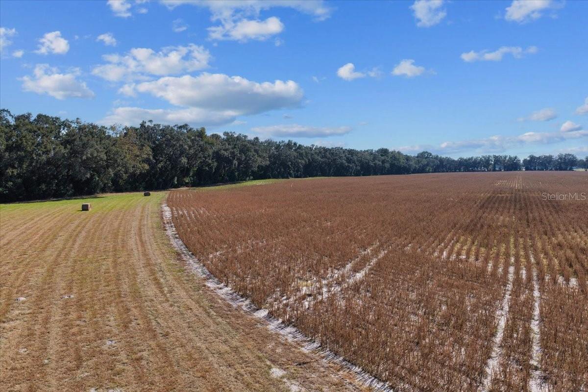 Image 2 of 29 For Tbd 150 Street