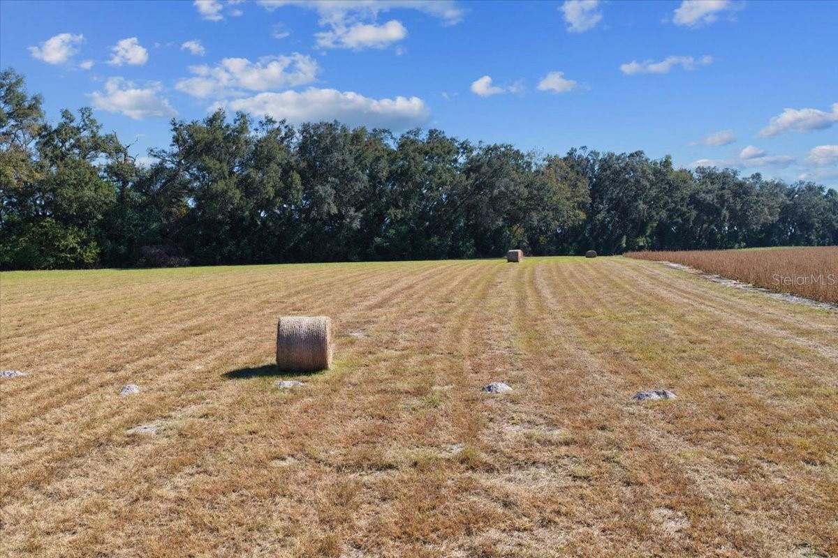 Image 3 of 29 For Tbd 150 Street