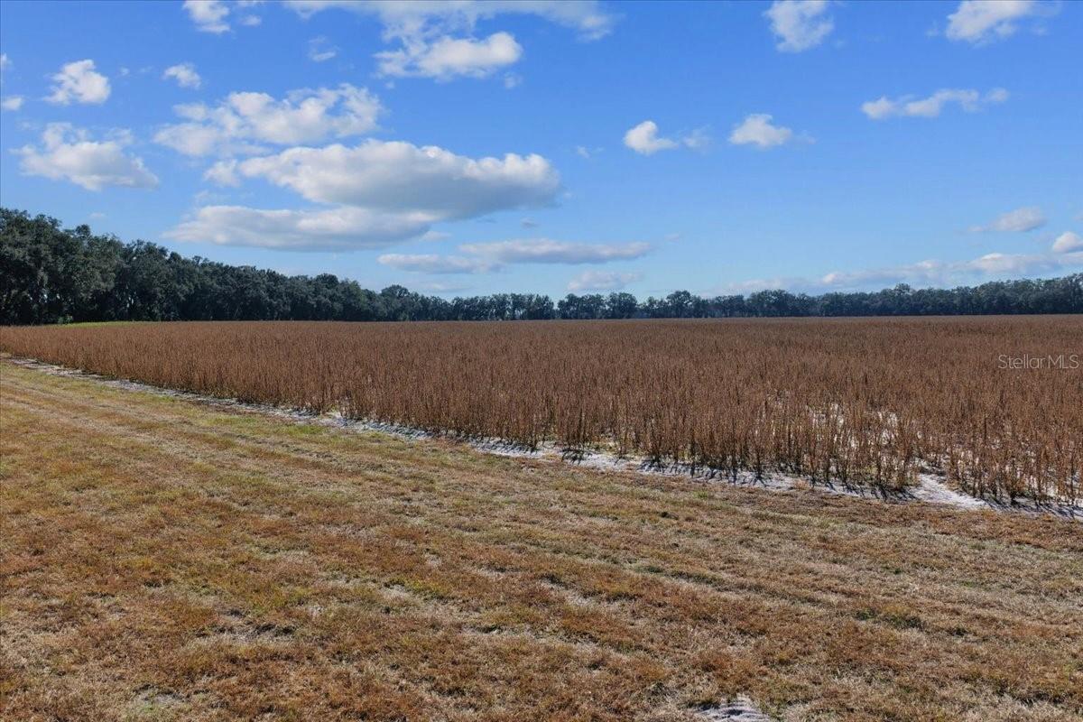 Image 5 of 29 For Tbd 150 Street