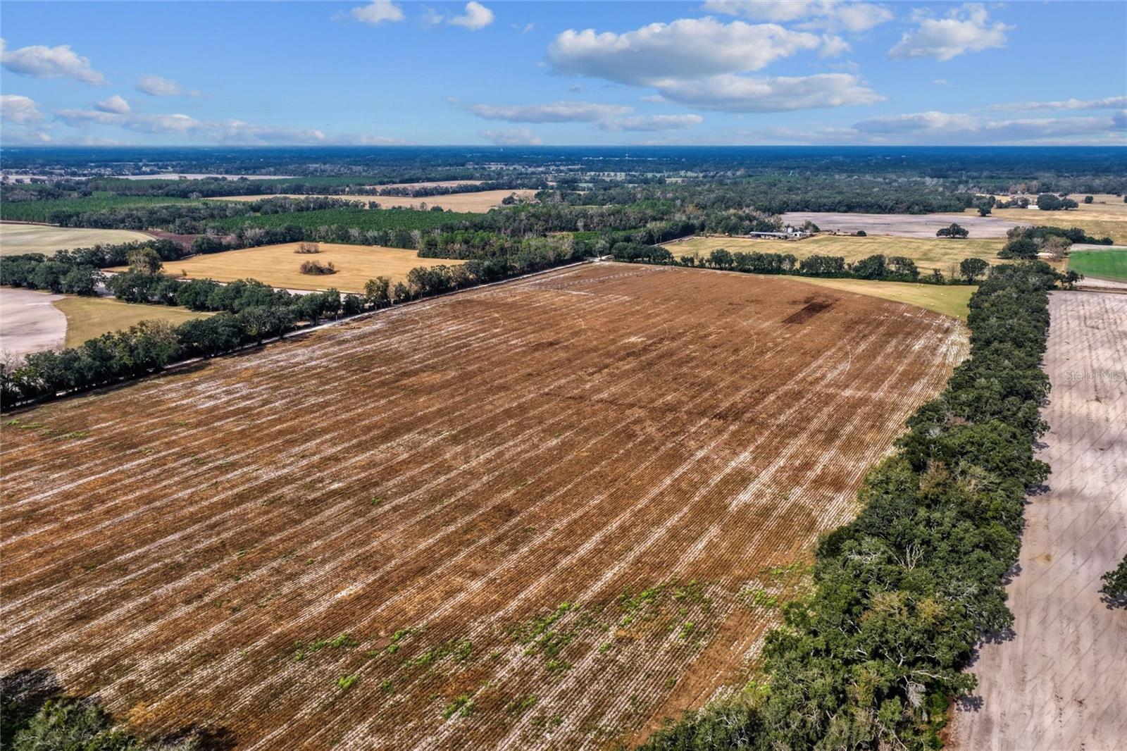 Image 12 of 18 For Tbd Bronson Avenue