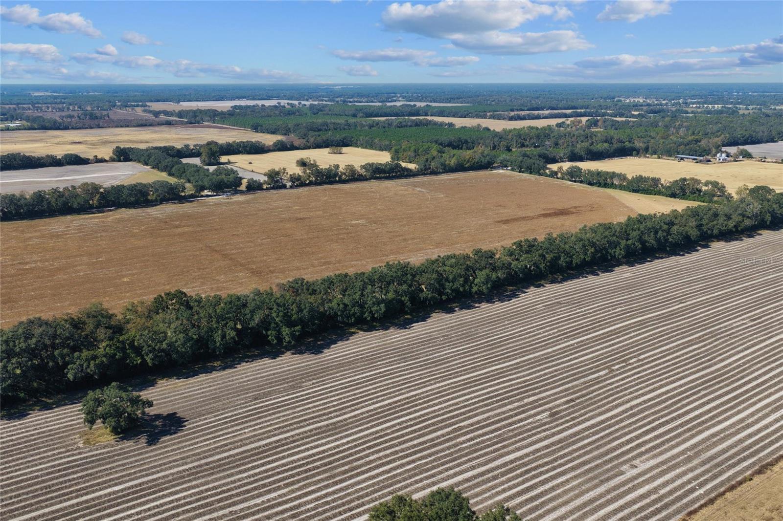 Image 15 of 18 For Tbd Bronson Avenue