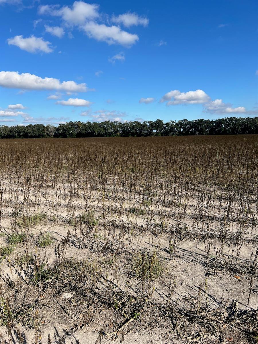 Image 3 of 18 For Tbd Bronson Avenue