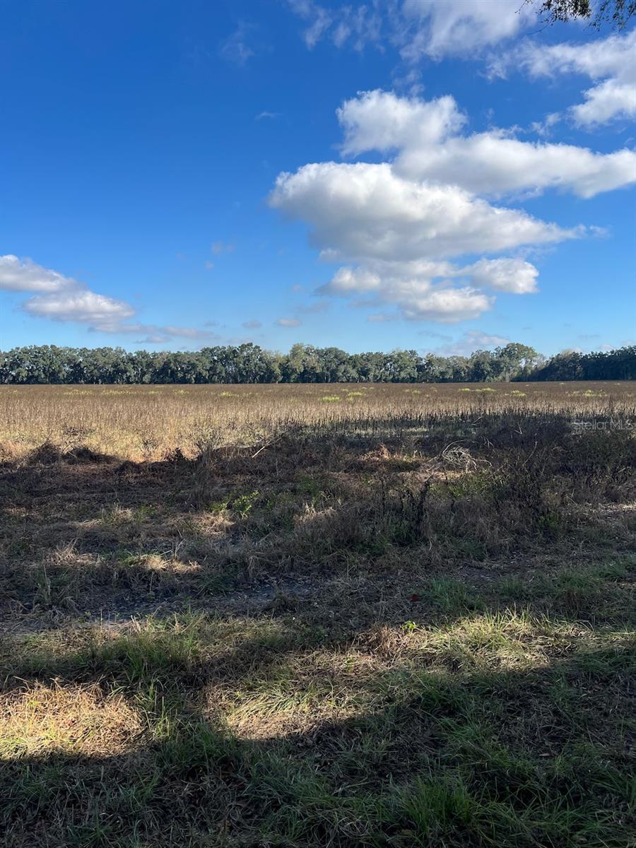 Image 4 of 18 For Tbd Bronson Avenue