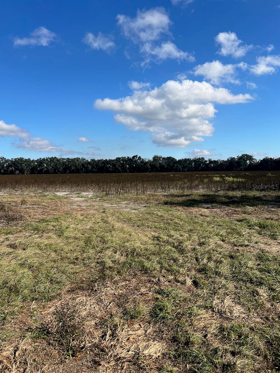 Image 5 of 18 For Tbd Bronson Avenue