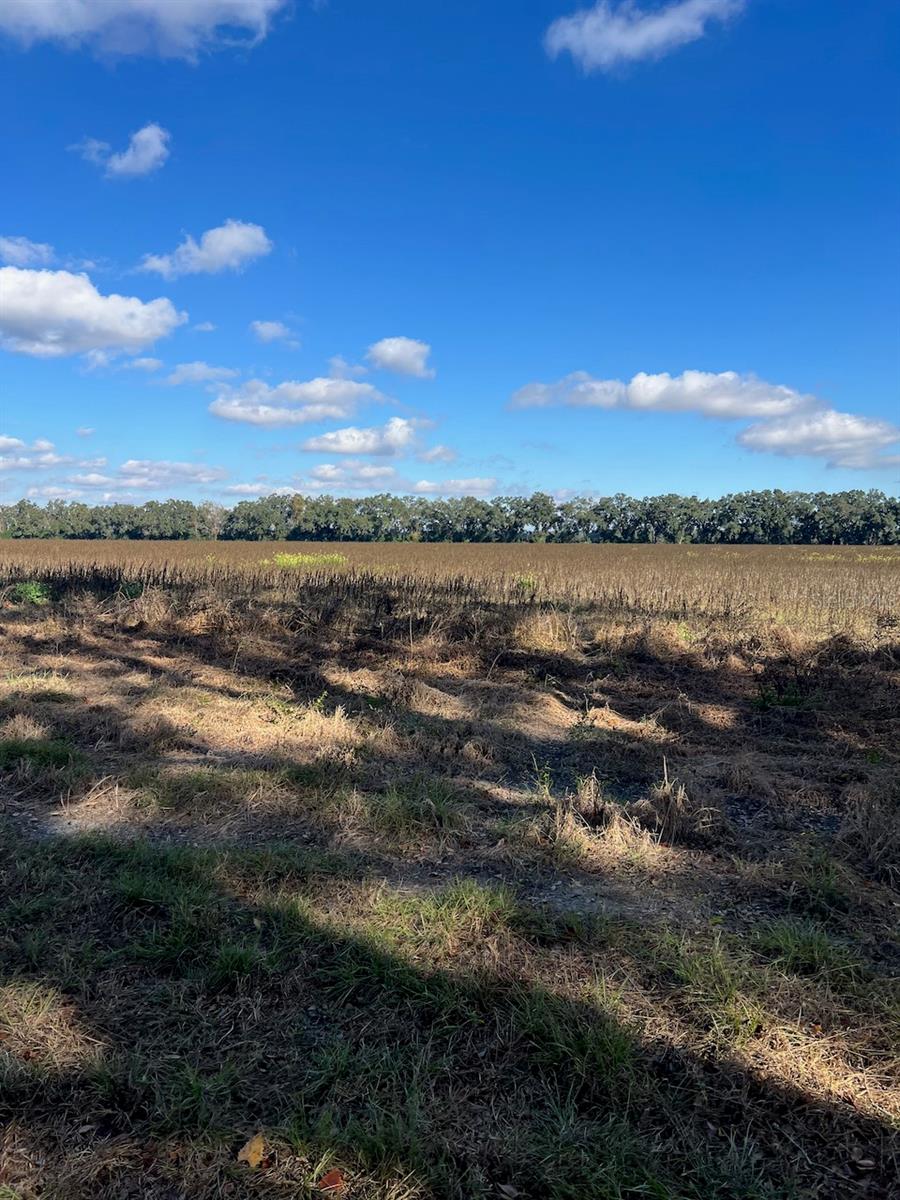 Image 6 of 18 For Tbd Bronson Avenue