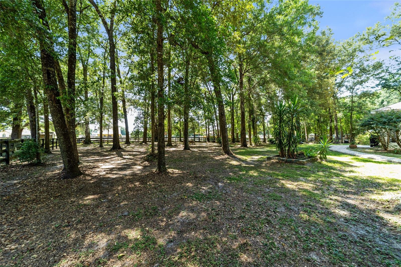 Image 30 of 39 For 2019 111th Loop