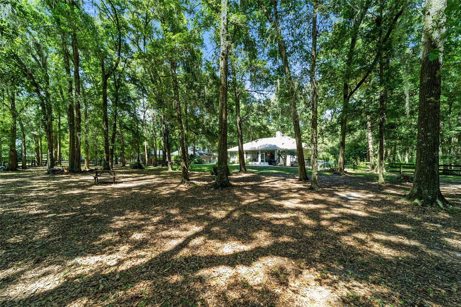 Image 31 of 39 For 2019 111th Loop