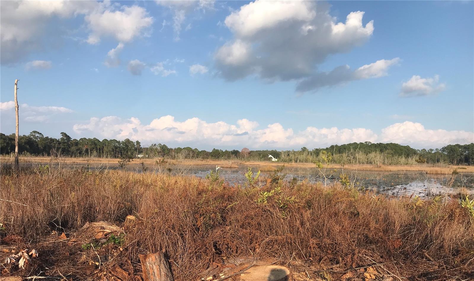 Image 10 of 43 For 11821 123rd Avenue