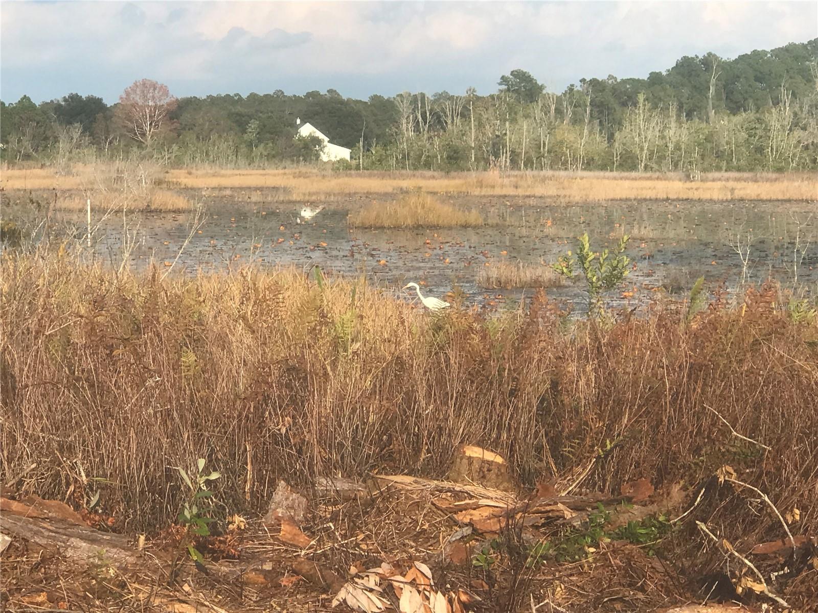 Image 11 of 43 For 11821 123rd Avenue