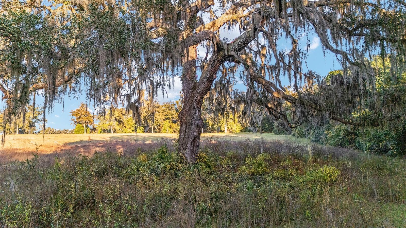 Image 15 of 20 For Tbd 28th Terrace Road