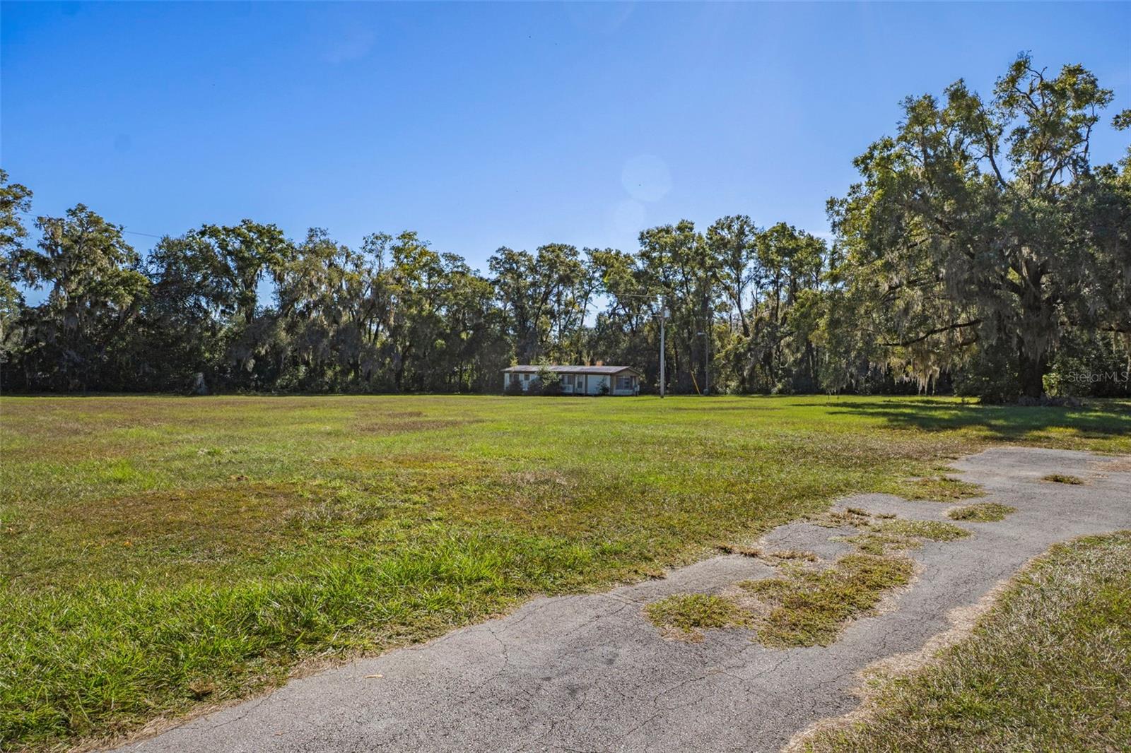 Listing photo id 16 for 3228 & 3164 Laurel Street