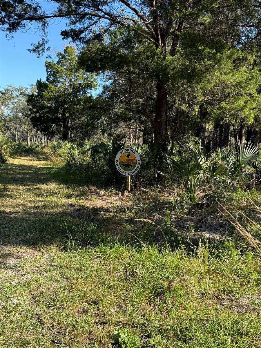 Image 17 of 18 For 11730 Coquina Court