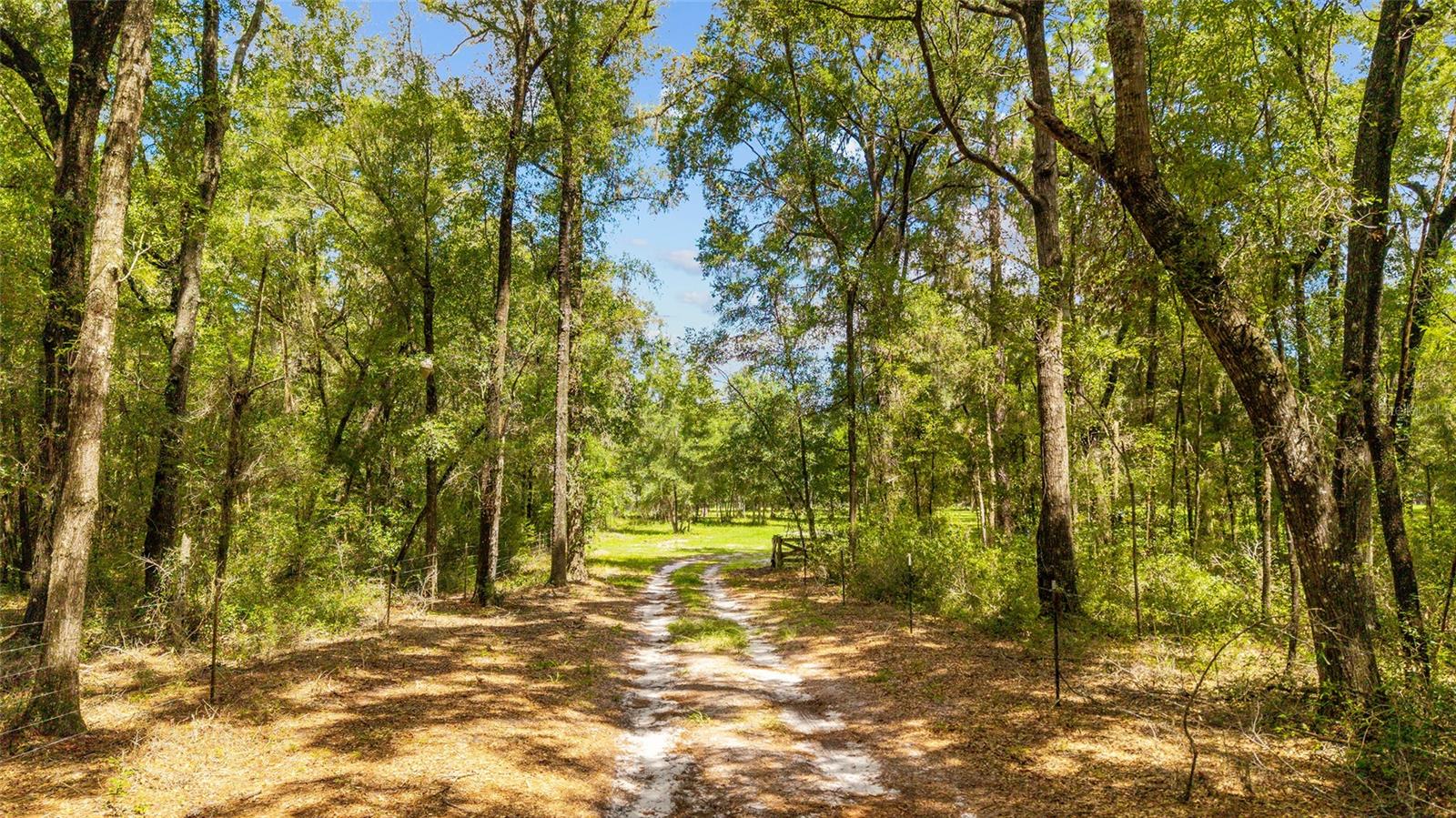 Image 16 of 19 For Tbd 35th Street