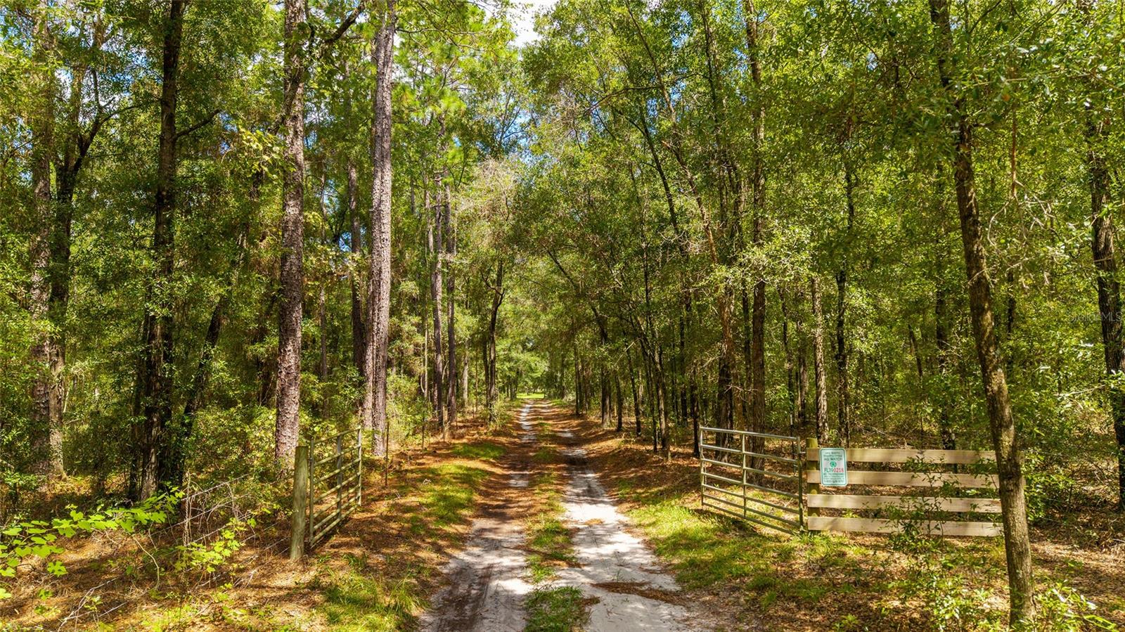 Image 3 of 19 For Tbd 35th Street