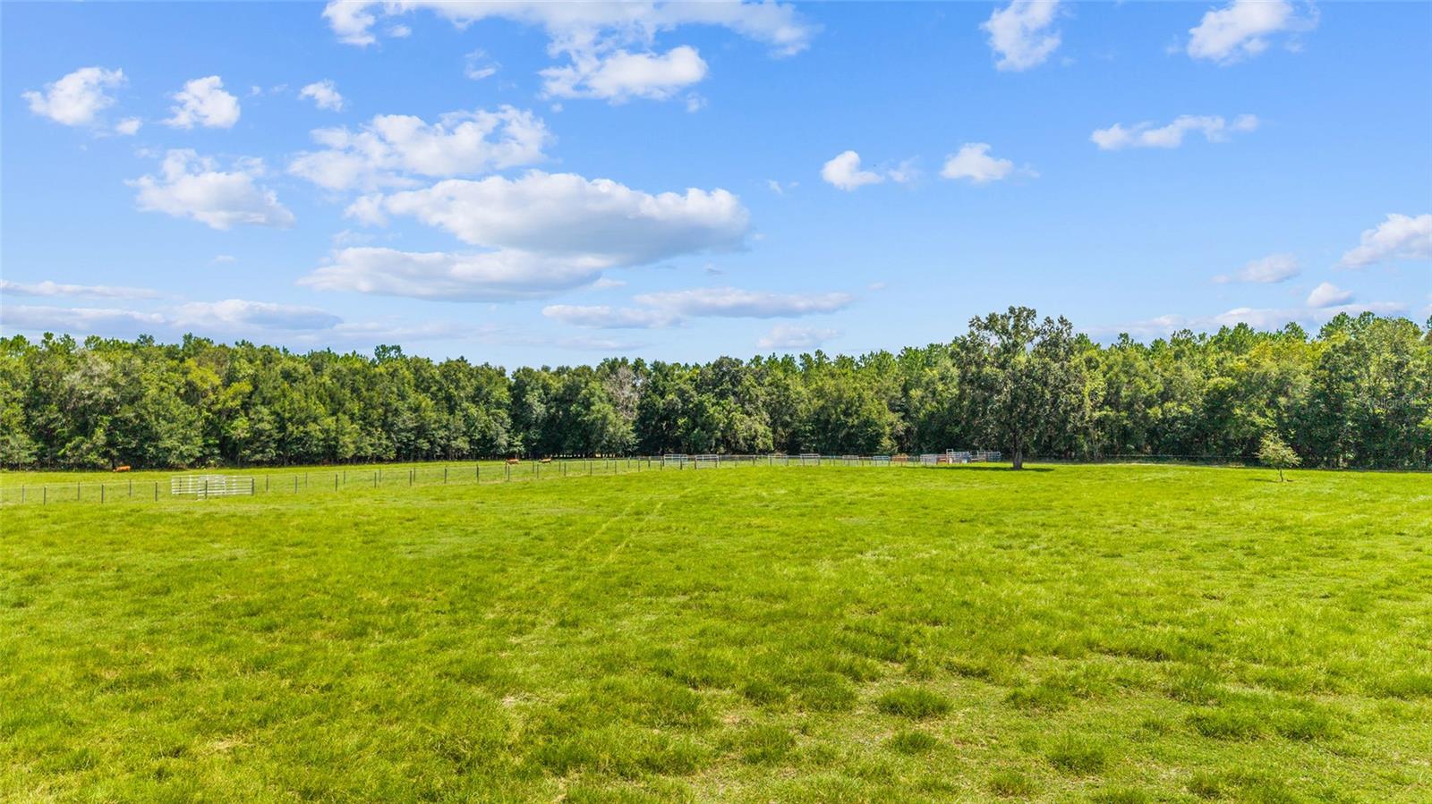 Image 9 of 19 For Tbd 35th Street