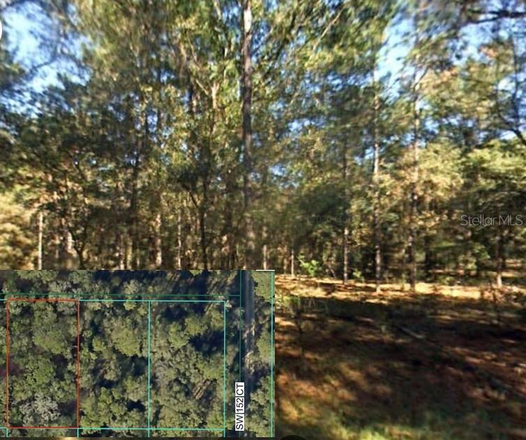 Listing Details for 0 Sw 12 Place Sw Lot 3, OCALA, FL 34481