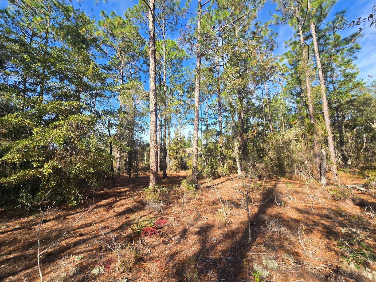 Image 10 of 11 For 6434 Baylor Terrace