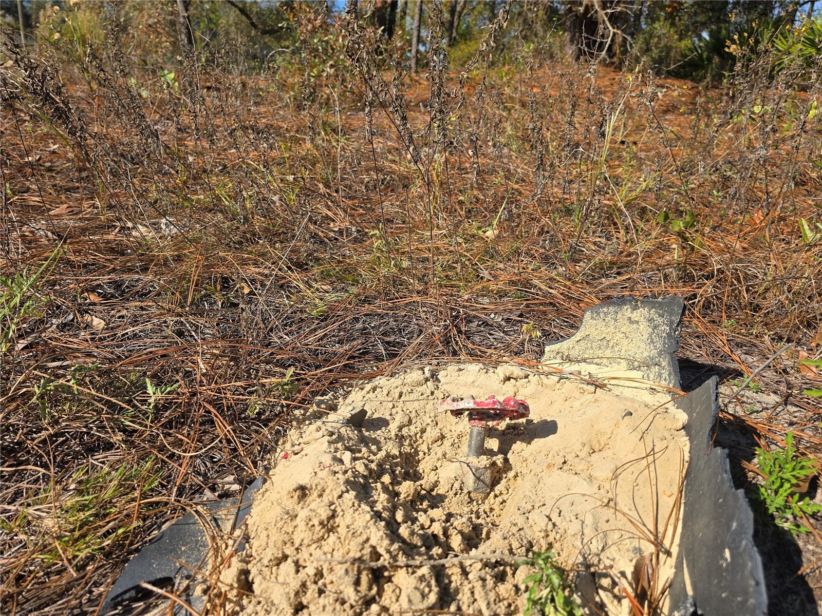 Image 6 of 11 For 6434 Baylor Terrace