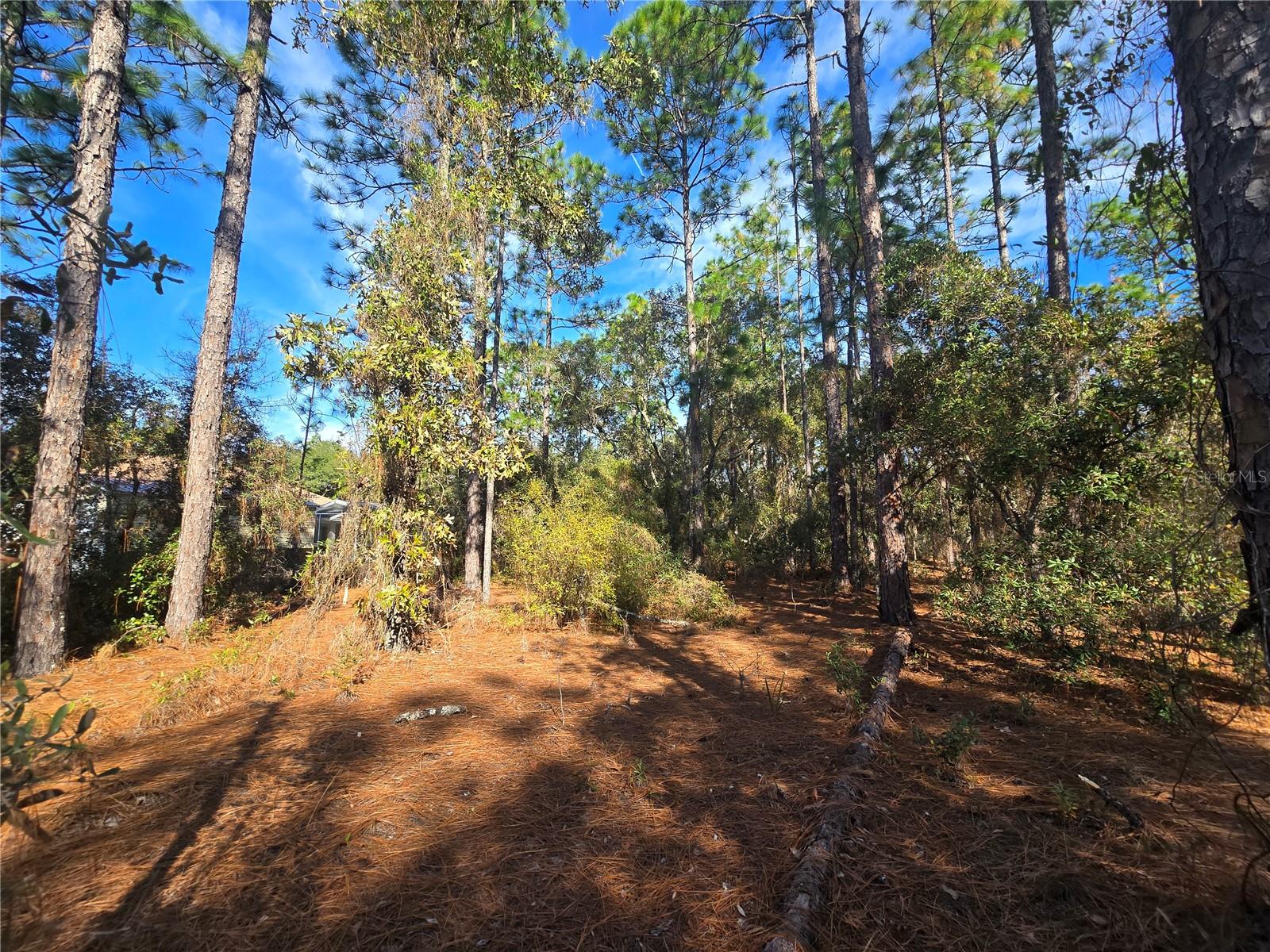 Image 8 of 11 For 6434 Baylor Terrace