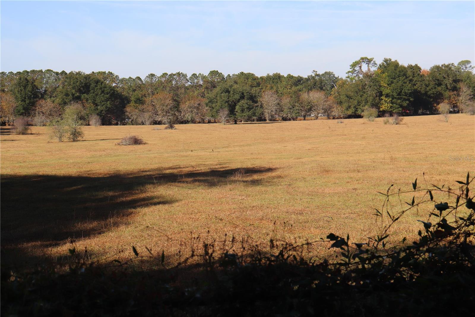 Image 2 of 5 For 8340 35th Avenue