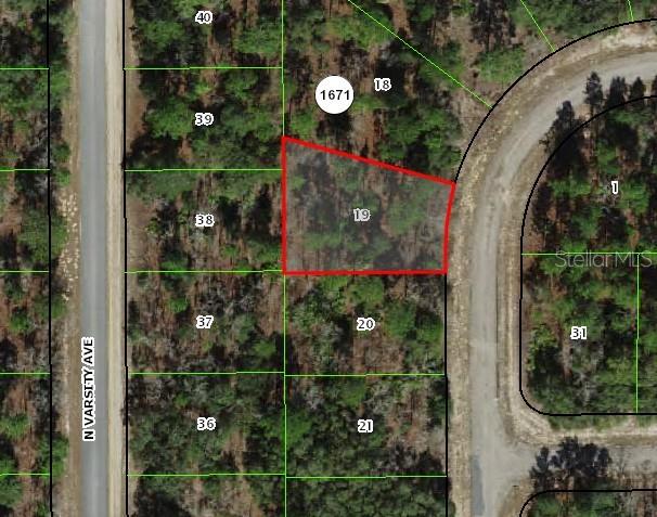 Details for 1947 Skyline Drive, CITRUS SPRINGS, FL 34434