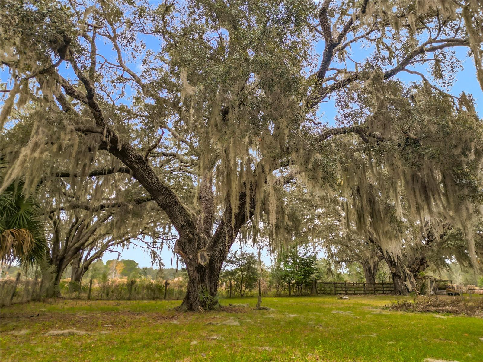 Image 28 of 50 For 12521 Highway 484