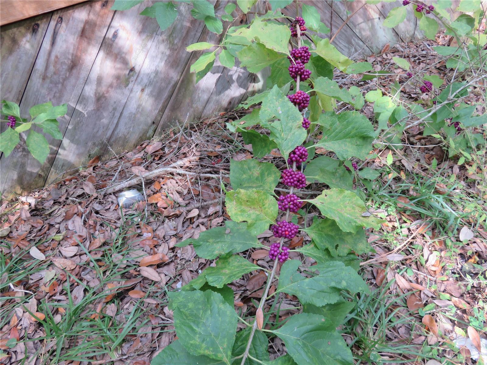 Image 34 of 54 For 240 165th Court Road