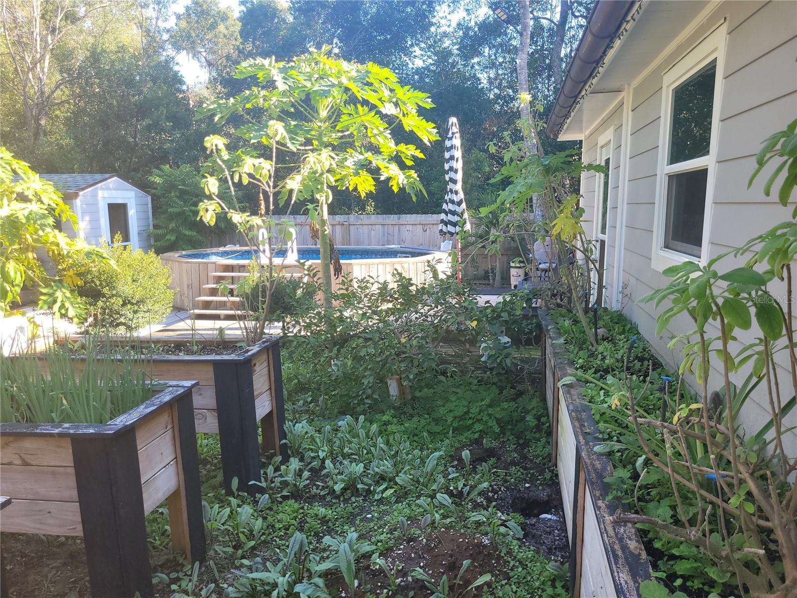 Image 32 of 39 For 821 Honey Way