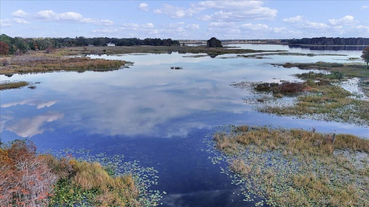 Image 59 of 84 For 223 Nesbitt Terrace