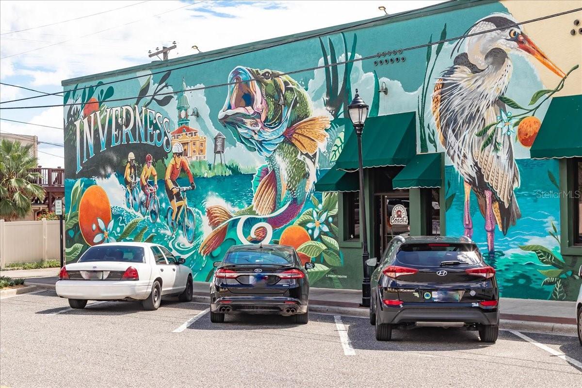 Image 81 of 84 For 223 Nesbitt Terrace