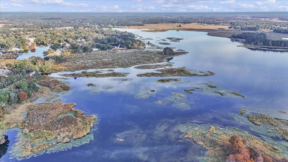 Image 9 of 84 For 223 Nesbitt Terrace