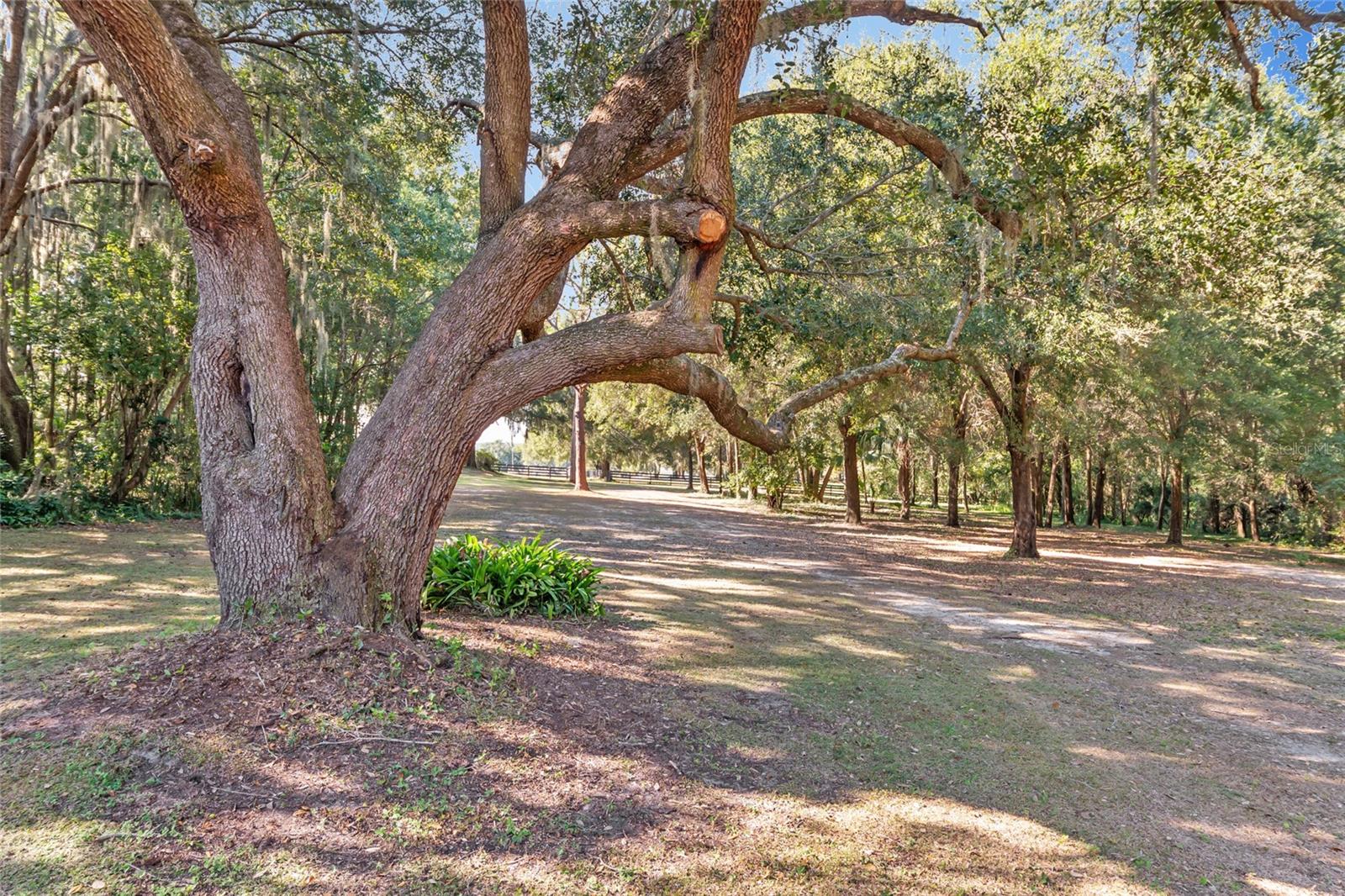 Image 71 of 100 For 15670 Highway 25