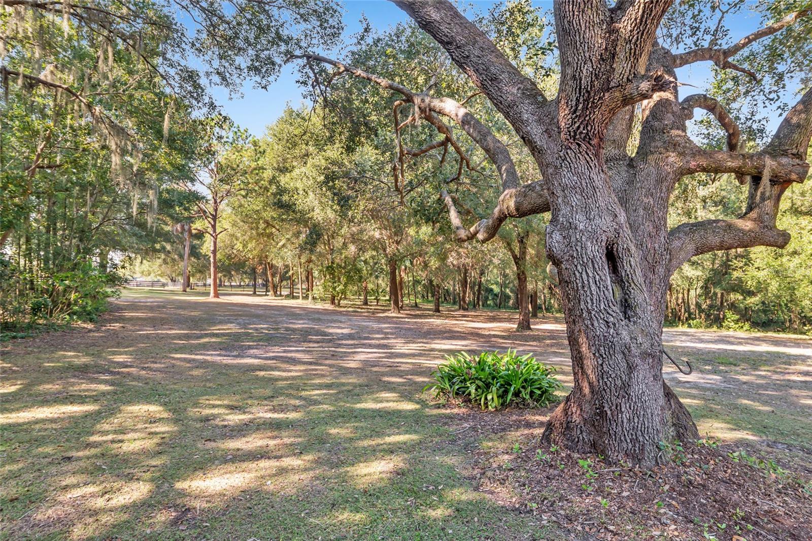 Image 72 of 100 For 15670 Highway 25