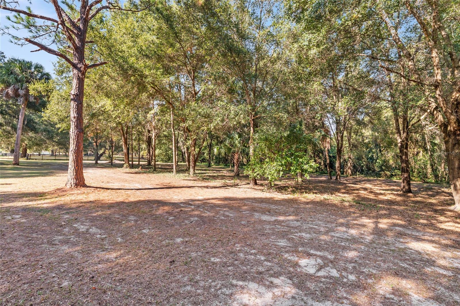 Image 74 of 100 For 15670 Highway 25