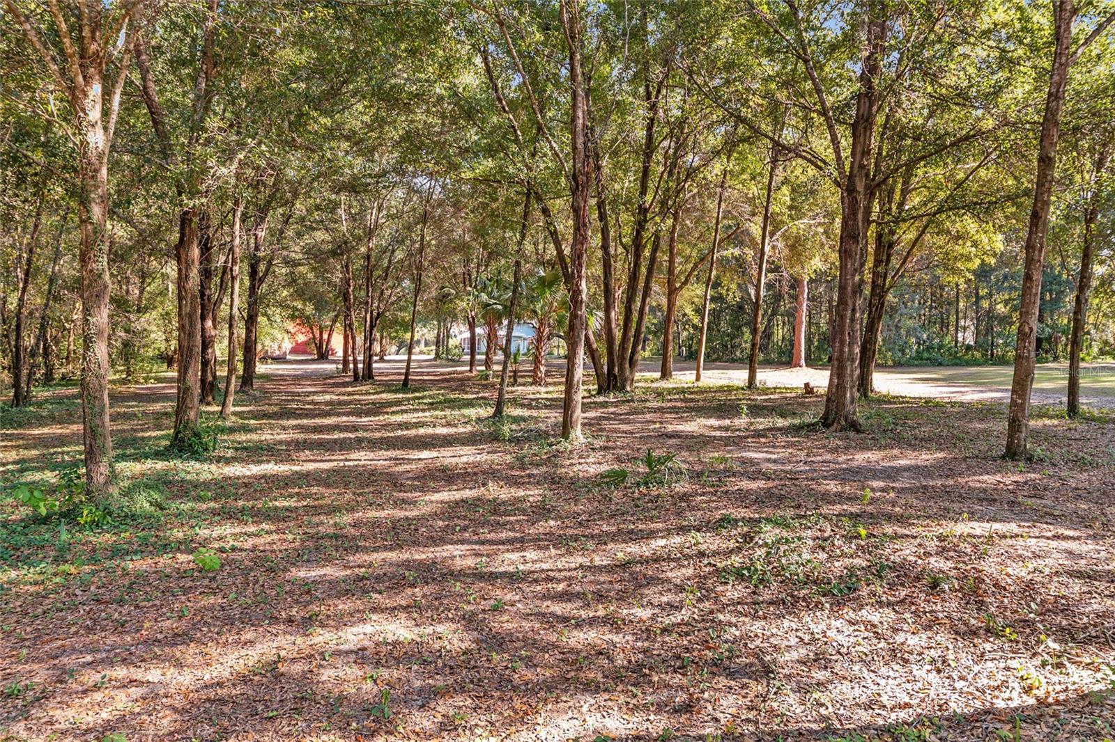 Image 77 of 100 For 15670 Highway 25