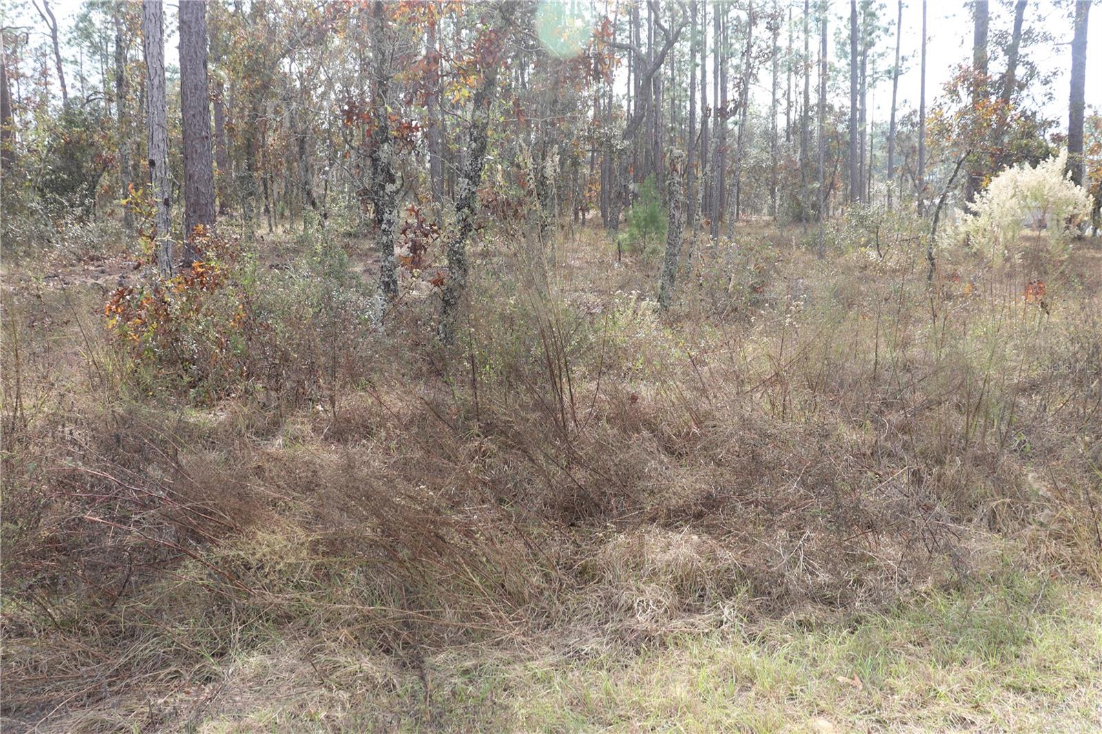 Image 2 of 5 For 00 Geranium Avenue