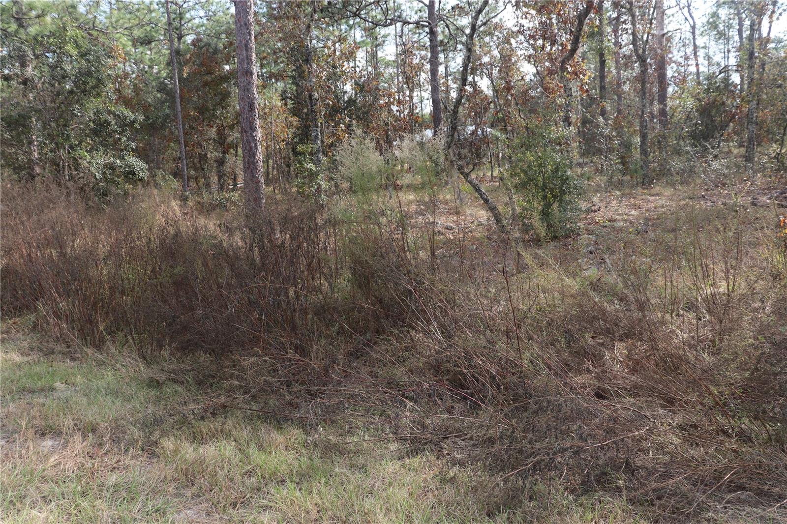 Image 3 of 5 For 00 Geranium Avenue