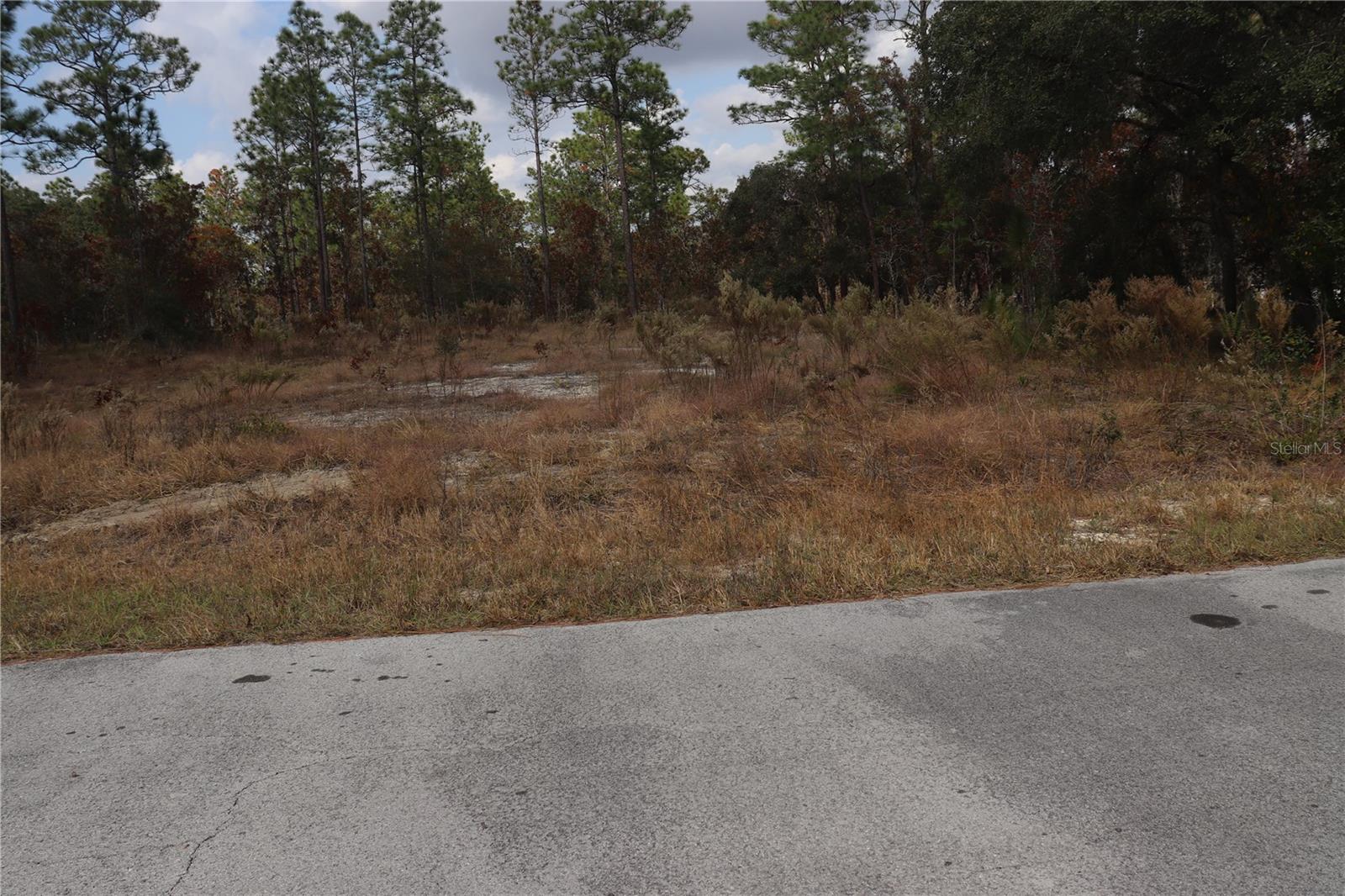 Image 5 of 5 For 00 Geranium Avenue