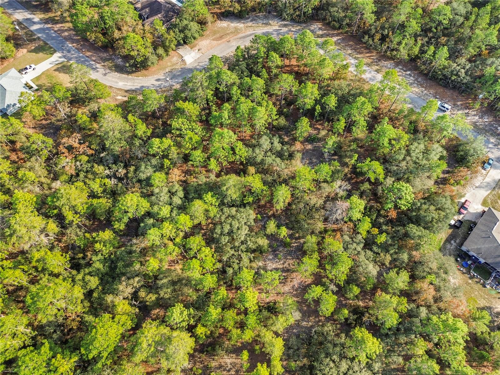 Image 17 of 19 For 3873 Findlay Street