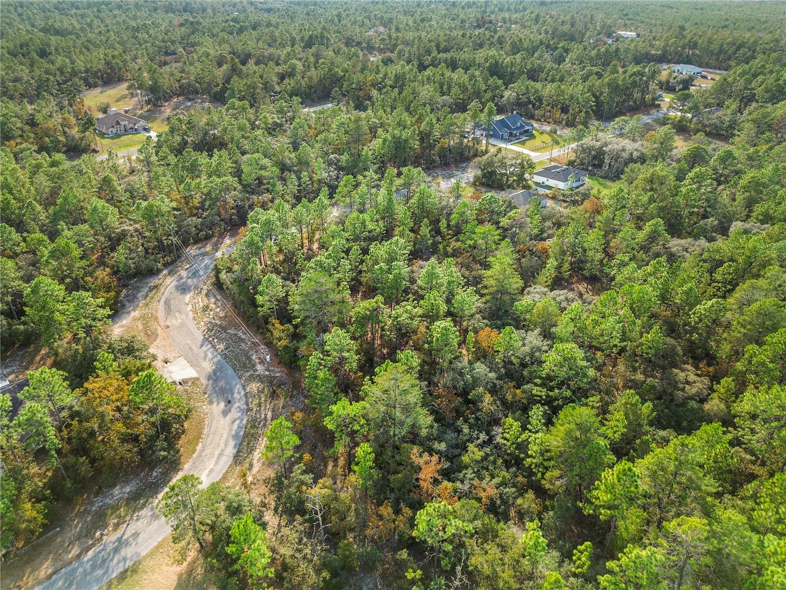 Image 9 of 19 For 3873 Findlay Street