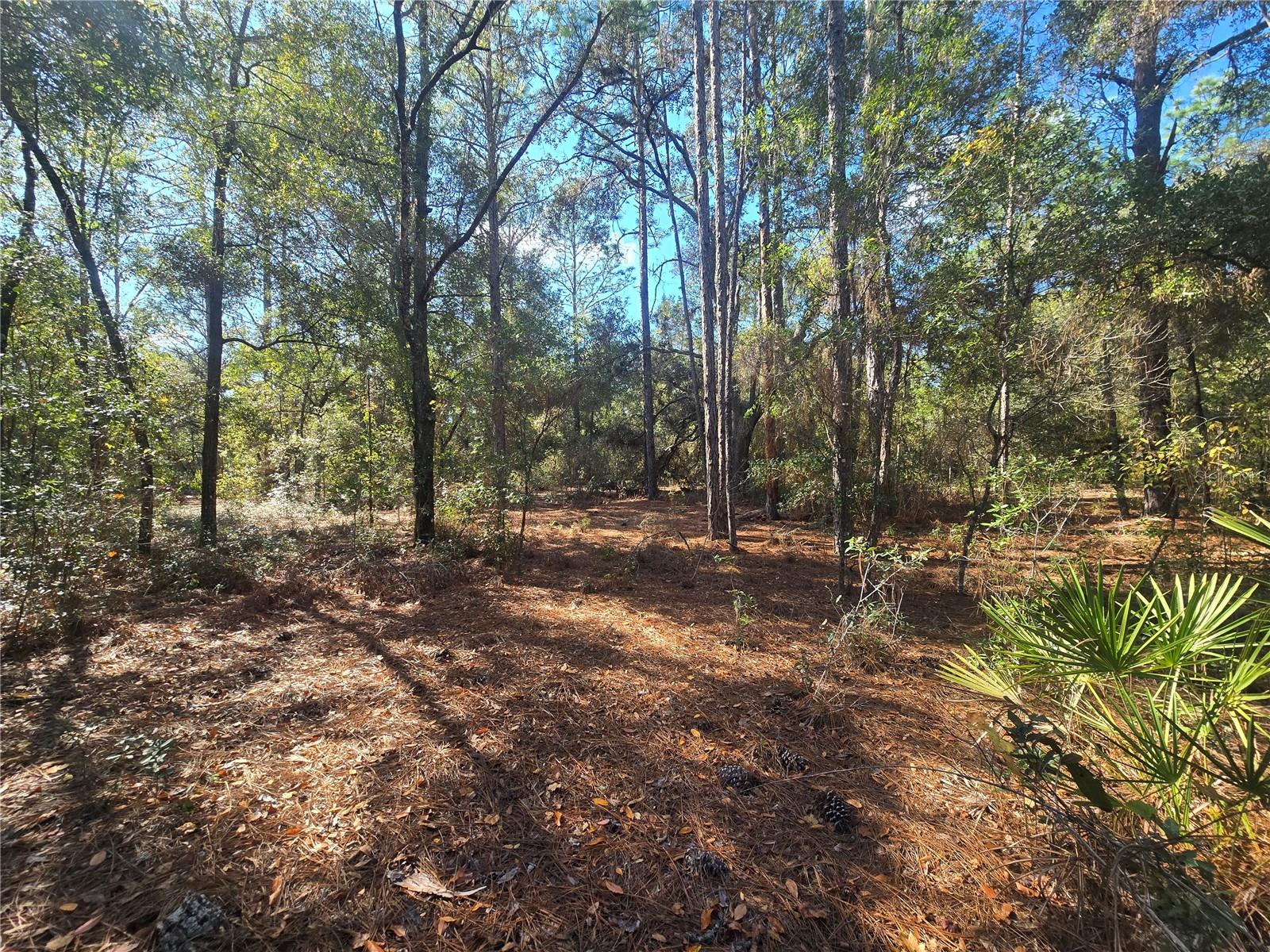 Image 4 of 9 For 11370 Ortega Point