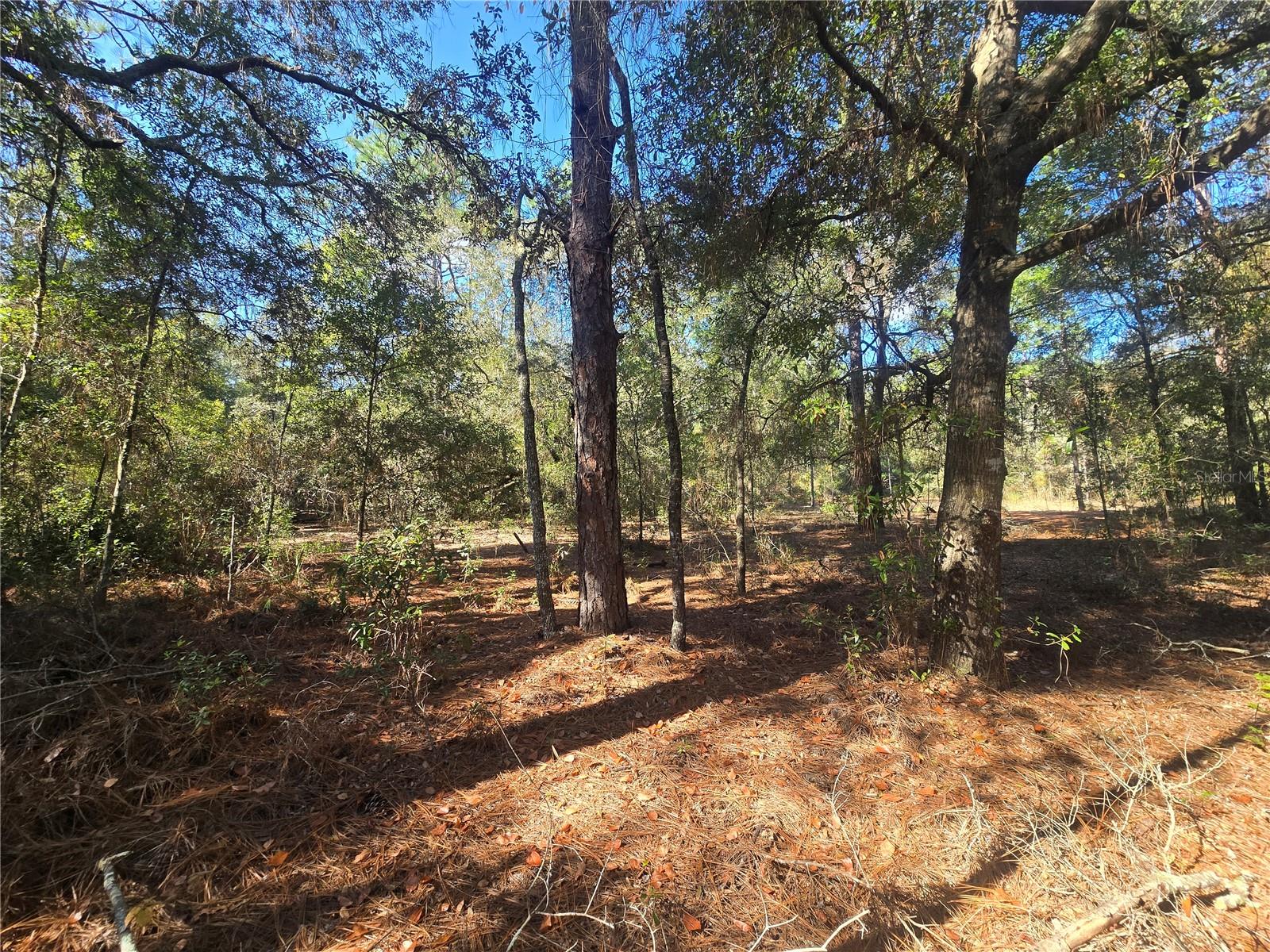 Image 5 of 9 For 11370 Ortega Point